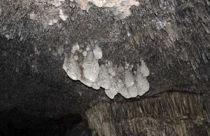 Scientists discover evidence for past high-level sea rise cropped Scientists discover evidence for past high level sea rise