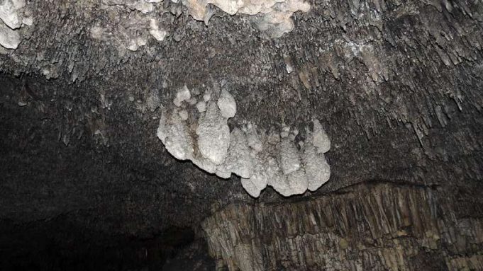 cropped Scientists discover evidence for past high level sea rise