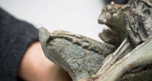 cropped Scientists discover one of worlds oldest bird species at Waipara New Zealand