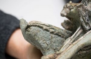 Scientists discover one of world’s oldest bird species at Waipara, New Zealand cropped Scientists discover one of worlds oldest bird species at Waipara New Zealand