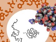 cropped Scientists find biologys optimal molecular alphabet may be preordained
