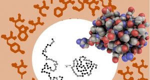 cropped Scientists find biologys optimal molecular alphabet may be preordained
