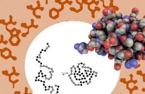 cropped Scientists find biologys optimal molecular alphabet may be preordained