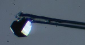 cropped Student discovers unusual new mineral inside a diamond