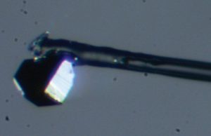 Student discovers unusual new mineral inside a diamond cropped Student discovers unusual new mineral inside a diamond