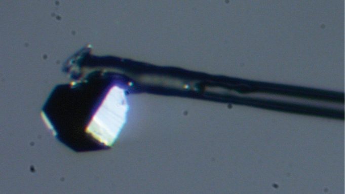 cropped Student discovers unusual new mineral inside a diamond