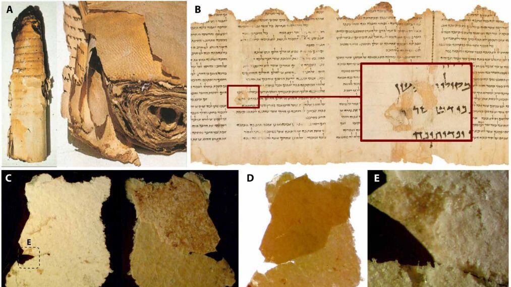 cropped Study of Dead Sea Scroll sheds light on a lost ancient parchment making technology