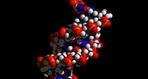 cropped Undercover evolution Our individuality is encrypted in our DNA but it is deeper than expected