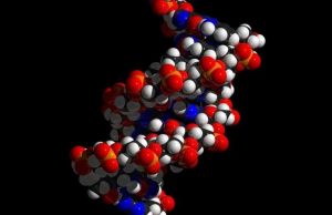 Undercover evolution: Our individuality is encrypted in our DNA, but it is deeper than expected cropped Undercover evolution Our individuality is encrypted in our DNA but it is deeper than expected