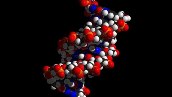 Undercover evolution: Our individuality is encrypted in our DNA, but it is deeper than expected cropped Undercover evolution Our individuality is encrypted in our DNA but it is deeper than expected