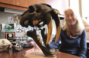 What wolves’ broken teeth reveal about their lives cropped What wolves teeth reveal about their lives