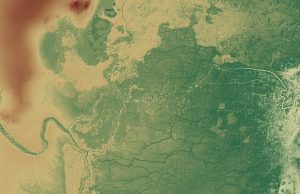 Ancient Maya canals and fields show early and extensive impacts on tropical forests