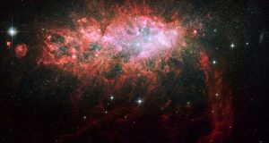 Black holes stunt growth of dwarf galaxies
