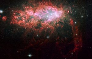 Black holes stunt growth of dwarf galaxies