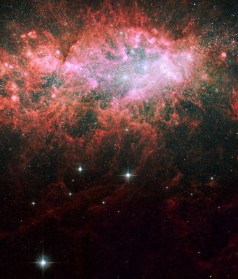 Black holes stunt growth of dwarf galaxies Black holes stunt growth of dwarf galaxies