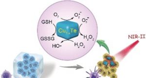 Catalytic immunotherapy for cancer Nanoparticles act as artificial enzymes