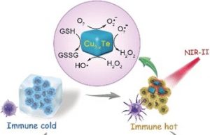 Catalytic immunotherapy for cancer Nanoparticles act as artificial enzymes
