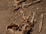 DNA study sheds new light on the people of the Neolithic Battle Axe Culture