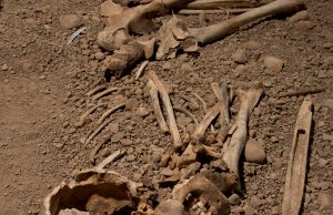 DNA study sheds new light on the people of the Neolithic Battle Axe Culture