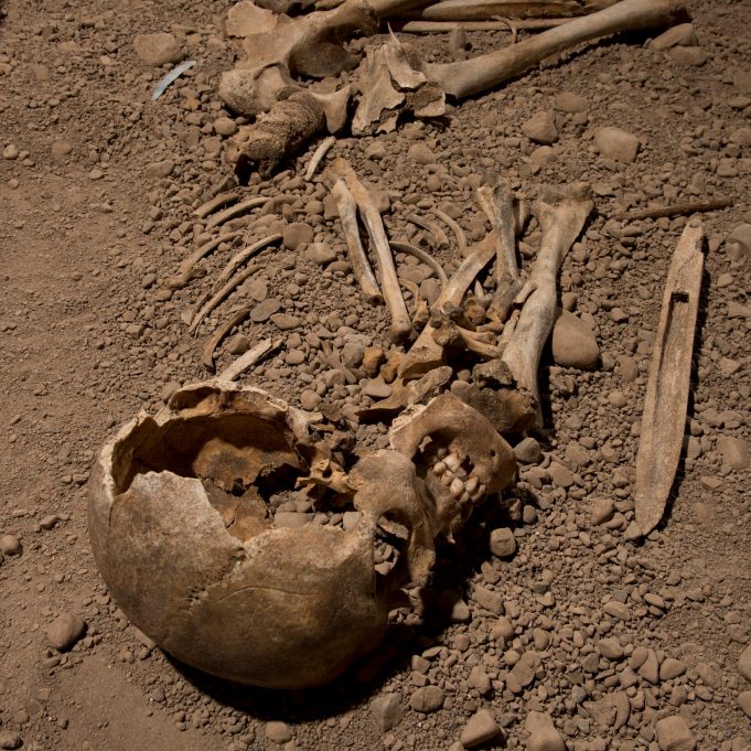 DNA study sheds new light on the people of the Neolithic Battle Axe Culture DNA study sheds new light on the people of the Neolithic Battle Axe Culture