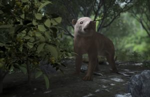 Fossil trove shows lifes fast recovery after big extinction