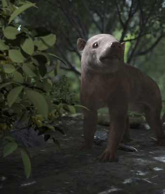 Fossil trove shows life’s fast recovery after big extinction Fossil trove shows lifes fast recovery after big extinction