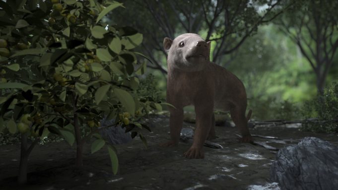 Fossil trove shows life’s fast recovery after big extinction Fossil trove shows lifes fast recovery after big extinction