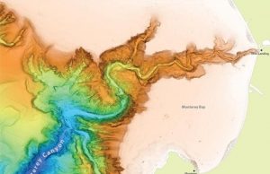 Global analysis of submarine canyons may shed light on Martian landscapes 1