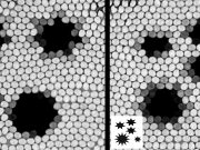 Honeybees are math stars Honeybees are math stars