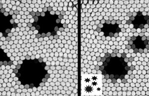Honeybees are math stars