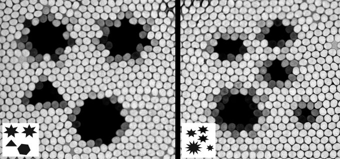 Honeybees are math stars