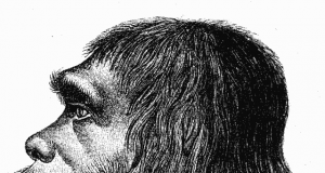 How differences in the genetic instruction booklet between humans and Neanderthals influenced traits
