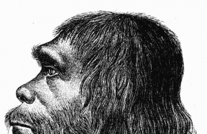 How differences in the genetic instruction booklet between humans and Neanderthals influenced traits