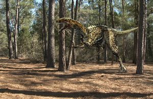 Huge clawed predatory dinosaur discovery in Victoria