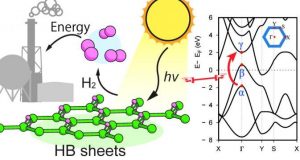 Hydrogen boride nanosheets A promising material for hydrogen carrier