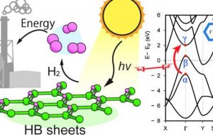 Hydrogen boride nanosheets A promising material for hydrogen carrier