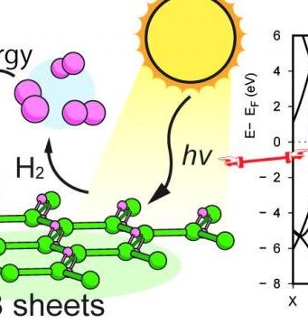 Hydrogen boride nanosheets A promising material for hydrogen carrier