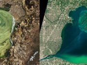 Lakes worldwide are experiencing more severe algal blooms