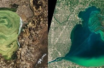 Lakes worldwide are experiencing more severe algal blooms