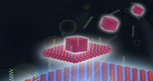 Living on the edge How a 2 D material got its shape