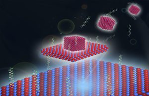 Living on the edge How a 2 D material got its shape