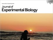 Mechanical engineers simple running hack is fun and increases efficiency