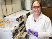 Nanoparticles may have bigger impact on the environment than previously thought Nanoparticles may have bigger impact on the environment than previously thought