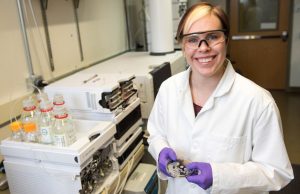 Nanoparticles may have bigger impact on the environment than previously thought