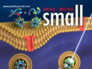 New drug delivery technology promises efficient targeted cancer treatment 1