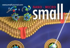New drug delivery technology promises efficient targeted cancer treatment 1