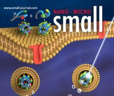 New drug delivery technology promises efficient targeted cancer treatment 1