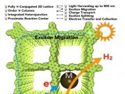 Photocatalytic hydrogen production from water