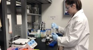 Researchers discover process to sustainably produce psilocybin a drug candidate that could help treat depression