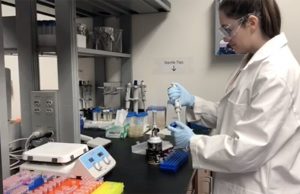 Researchers discover process to sustainably produce psilocybin, a drug candidate that could help treat depression Researchers discover process to sustainably produce psilocybin a drug candidate that could help treat depression